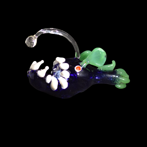 baudroie abyssale uv